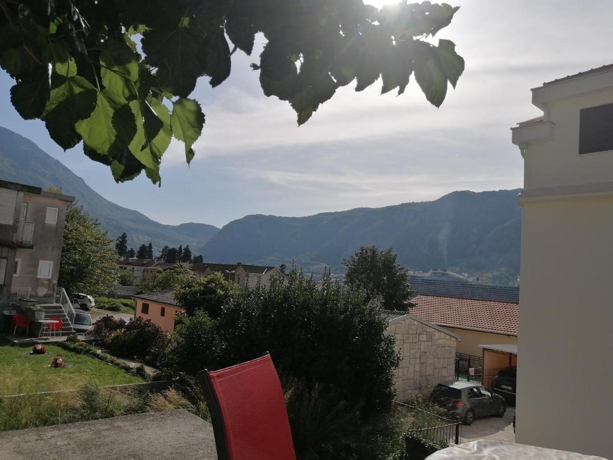 Apartments Zeljka-Dobrota Kotor Exteriör bild