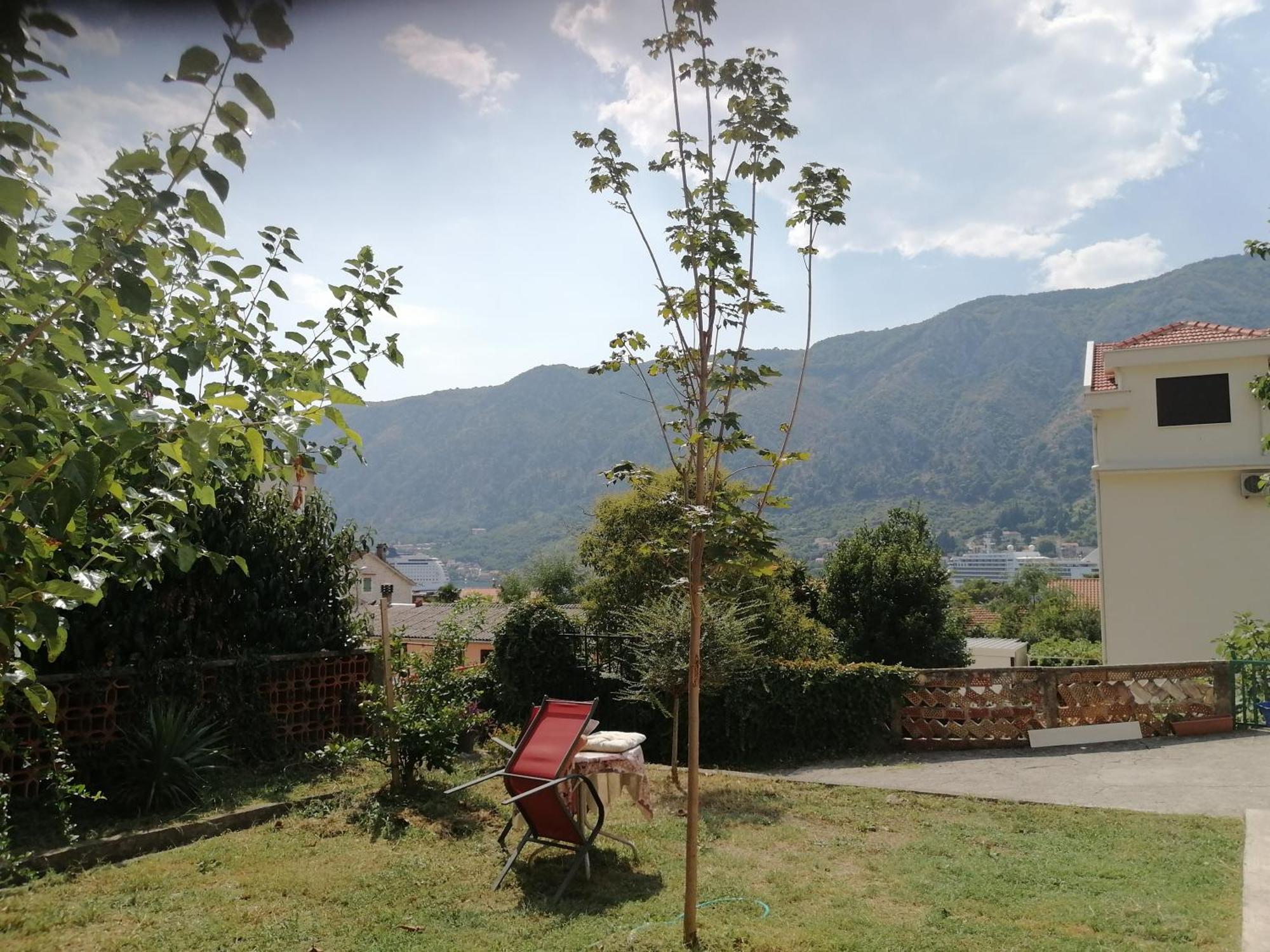 Apartments Zeljka-Dobrota Kotor Exteriör bild