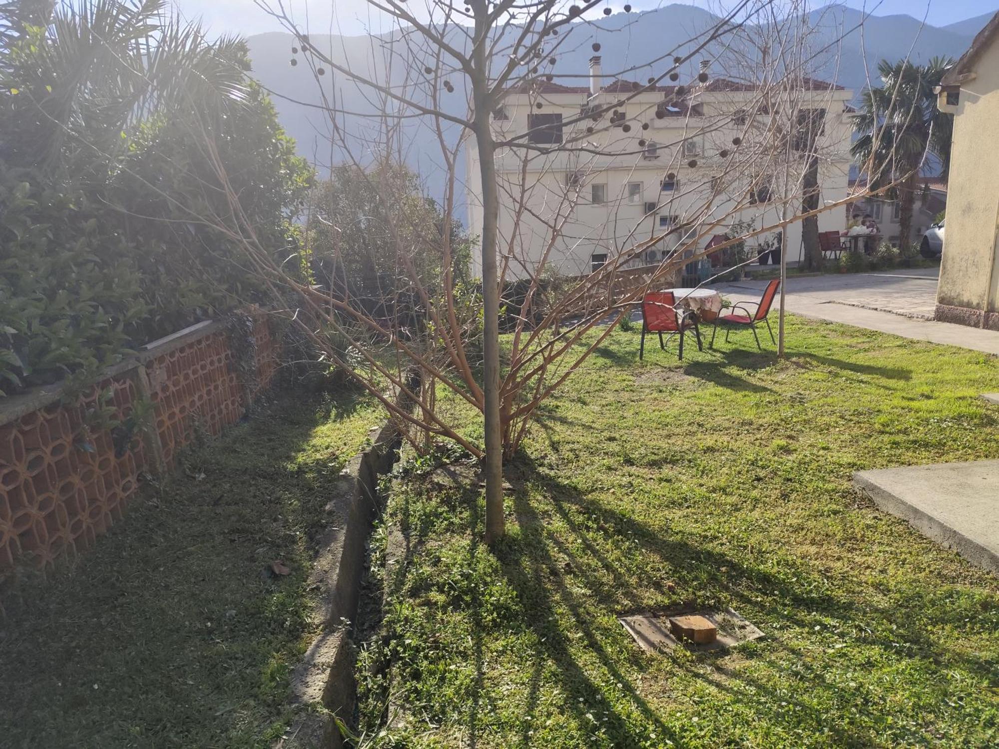 Apartments Zeljka-Dobrota Kotor Exteriör bild